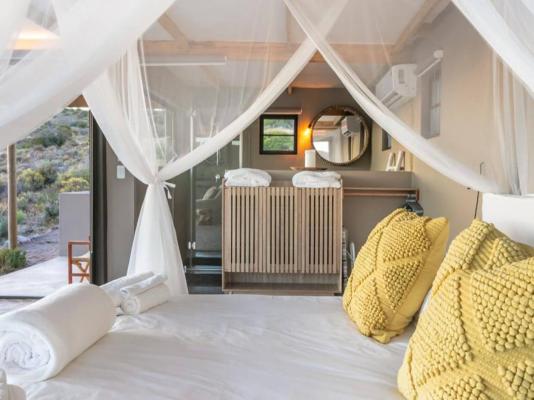 Aardvark Bioreserve - 245075