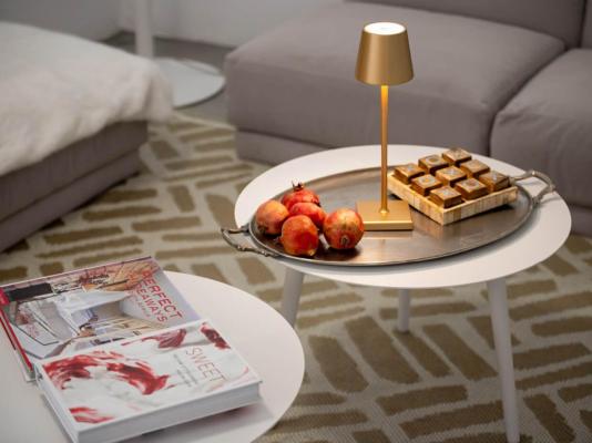 Aardvark Bioreserve - 245084