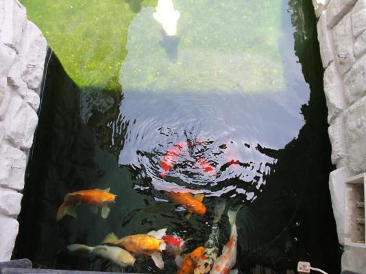 Africa Paradise Boutique Hotel - 245096