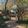 Tshikwalo Guest House - 245221