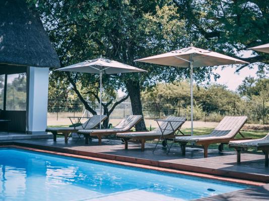 Tshikwalo Guest House - 245222