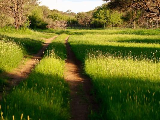 Frylinckspan Guestfarm and Venue - 245276