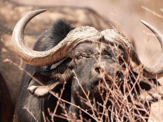 Frylinckspan Guestfarm and Venue - 245283