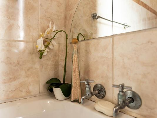 Frylinckspan Guestfarm and Venue - 245310