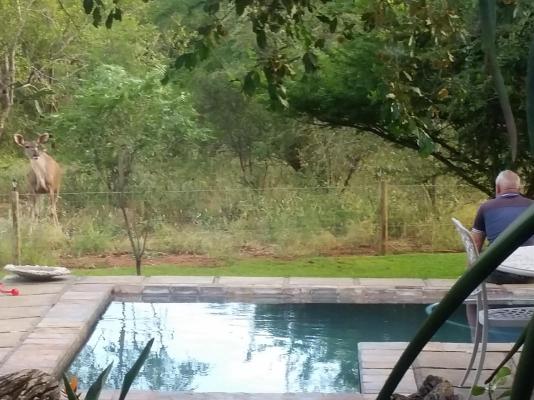 Call of the Wild Lodge - 245447