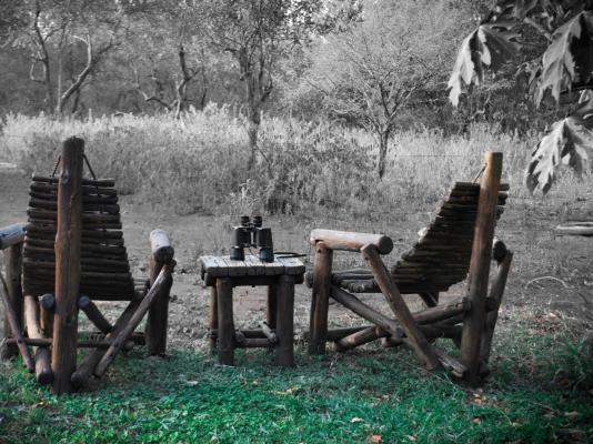 Call of the Wild Lodge - 245449