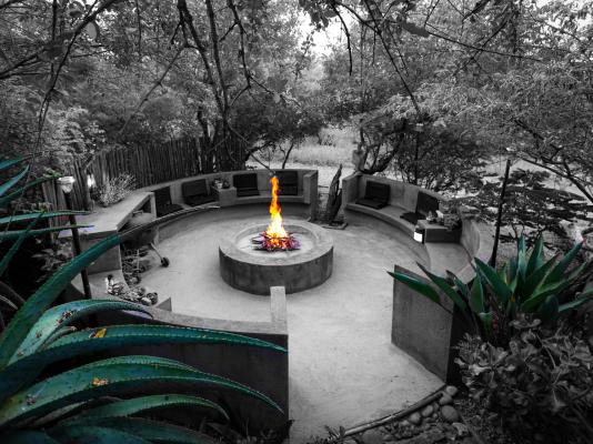 Call of the Wild Lodge - 245454