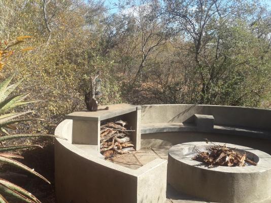 Call of the Wild Lodge - 245456