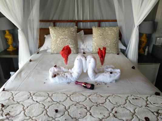 Call of the Wild Lodge - 245485