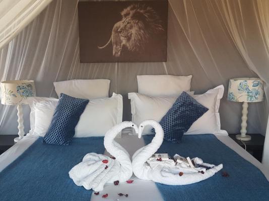 Call of the Wild Lodge - 245492