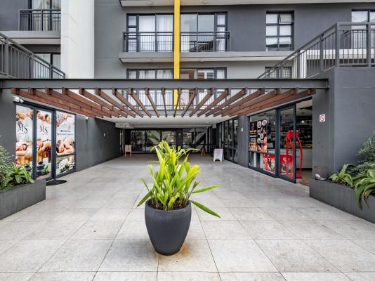 Phola The Millennial uMhlanga - 245497