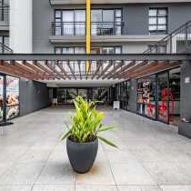 Phola The Millennial uMhlanga - 245497