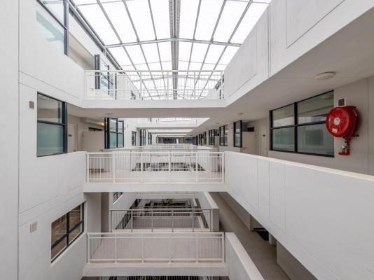 Phola The Millennial uMhlanga - 245499