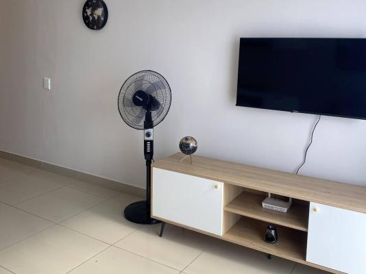 Phola The Millennial uMhlanga - 245508