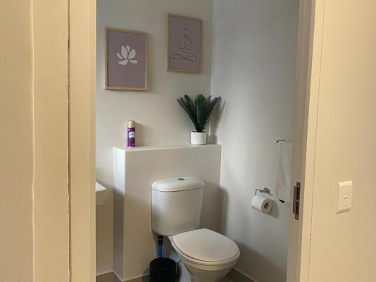 Phola The Millennial uMhlanga - 245515