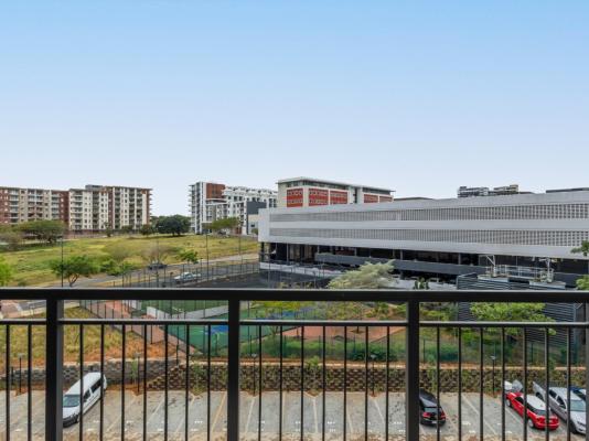 Phola The Millennial uMhlanga - 245531