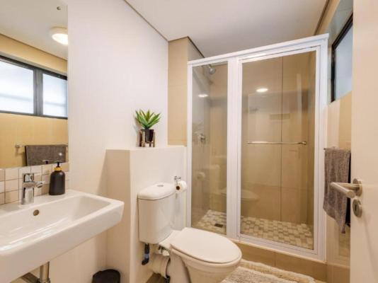 Phola The Millennial uMhlanga - 245534