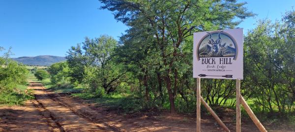 Buck Hill Bush Lodge - 245600