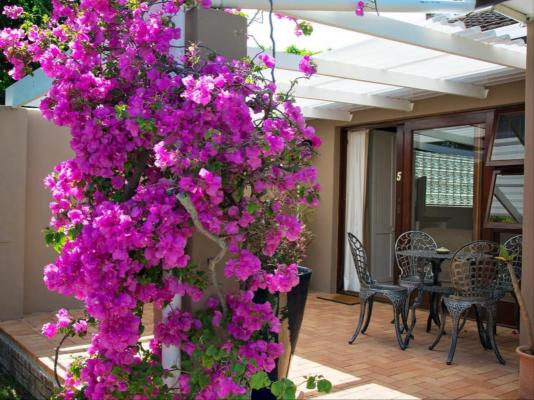 Bayside Guesthouse - 245615