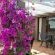 Bayside Guesthouse - 245615