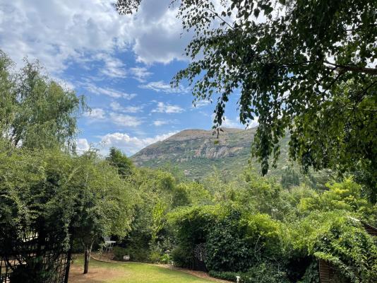 Patcham Place Guest House - 245680