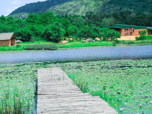 Harnham Mountain Lodge - 245738