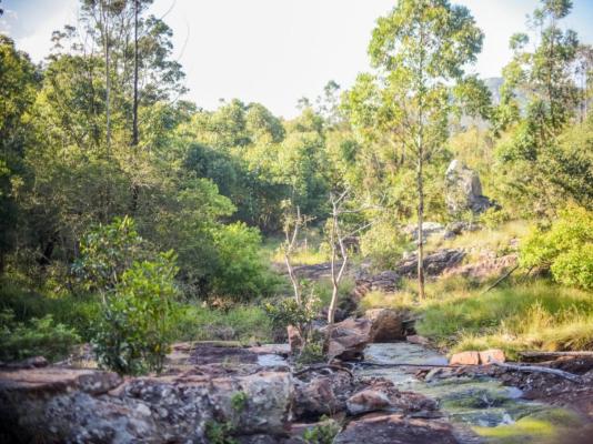 Harnham Mountain Lodge - 245741