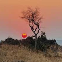 Bergendam Eco Lodge - 245792