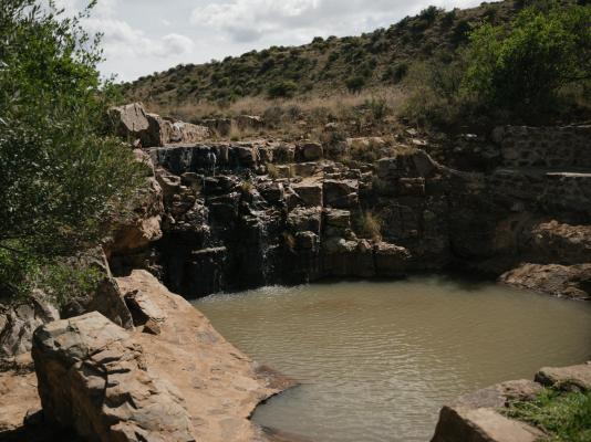 Bergendam Eco Lodge - 245795