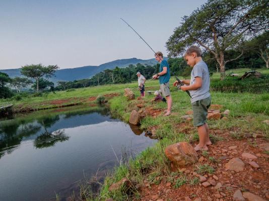 Caracal Lodge - 246039