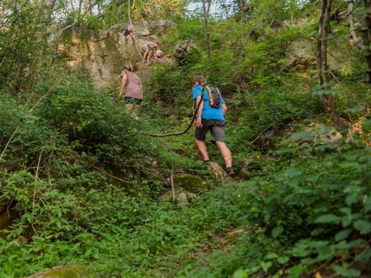 Caracal Lodge - 246041