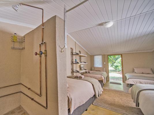 Caracal Lodge - 246050