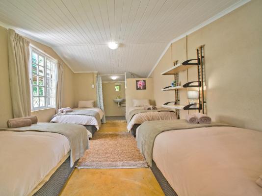 Caracal Lodge - 246056