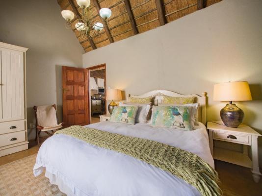 Caracal Lodge - 246067