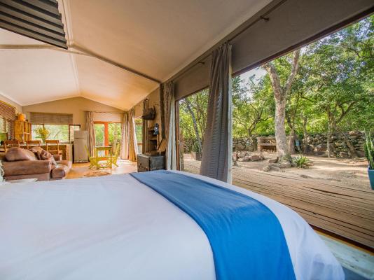 Caracal Lodge - 246084