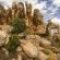 Kagga Kamma Nature Reserve - 246089