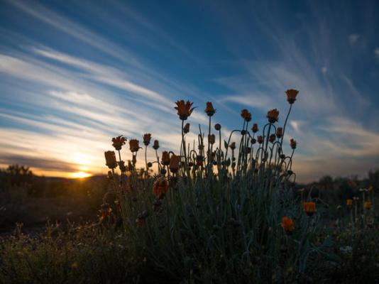 Kagga Kamma Nature Reserve - 246090