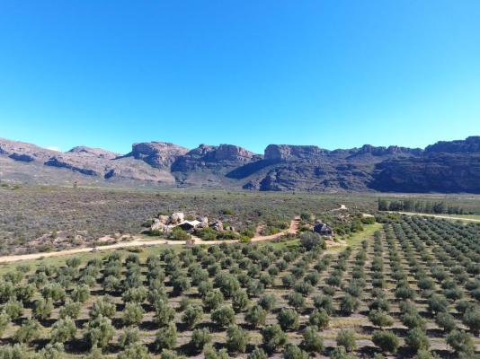 De Pakhuys Guest Farm - 246234