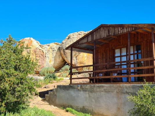 De Pakhuys Guest Farm - 246245