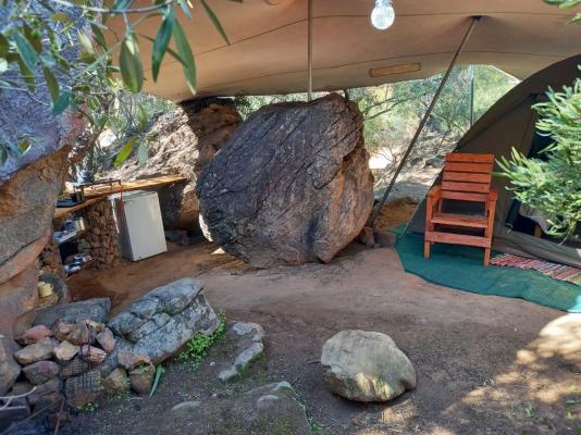 De Pakhuys Guest Farm - 246247