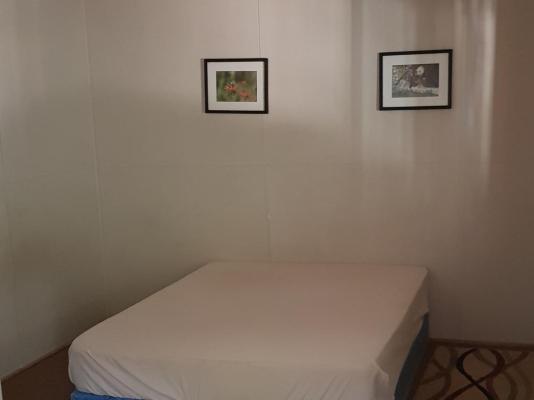 De Pakhuys Guest Farm - 246252