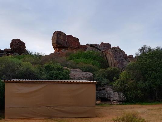 De Pakhuys Guest Farm - 246256