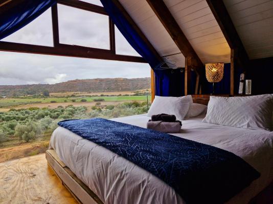 De Pakhuys Guest Farm - 246260