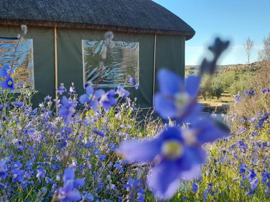 De Pakhuys Guest Farm - 246268