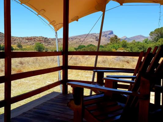 De Pakhuys Guest Farm - 246291