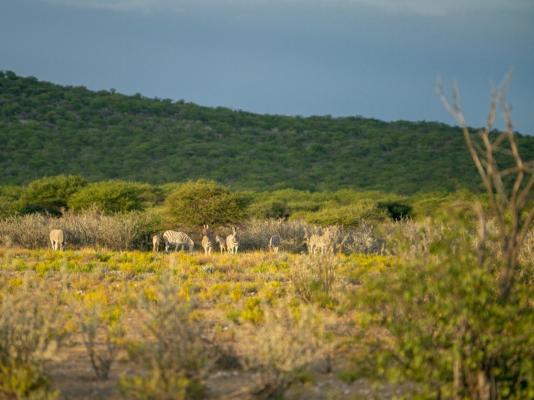 Epacha Game Lodge and Spa - 246407