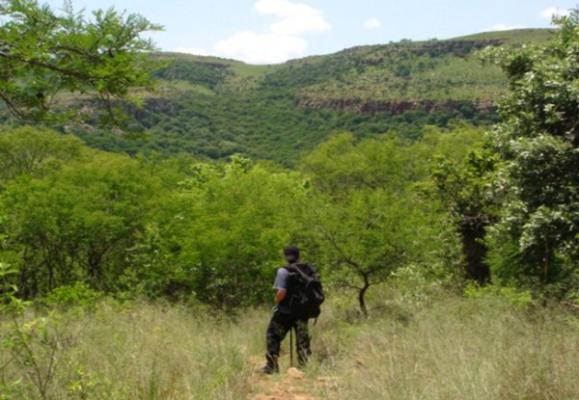 Hiking in the vicinity of Waterval Boven