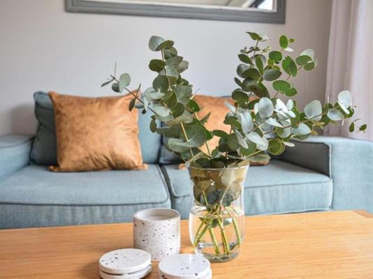 3B Sandy Bay - 246632