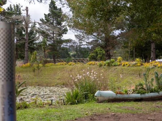 Five Elements Resort - 246929