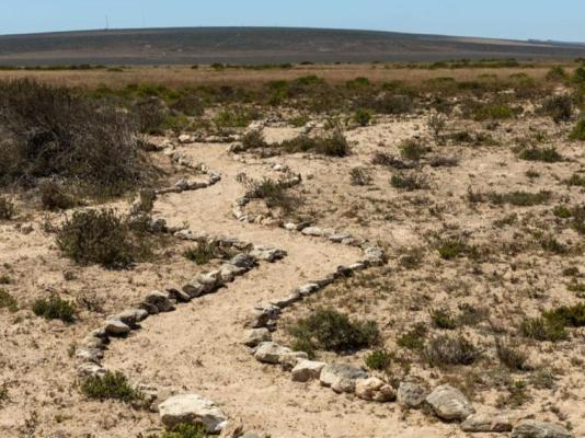 Langeverwacht Eco Retreat - 247052